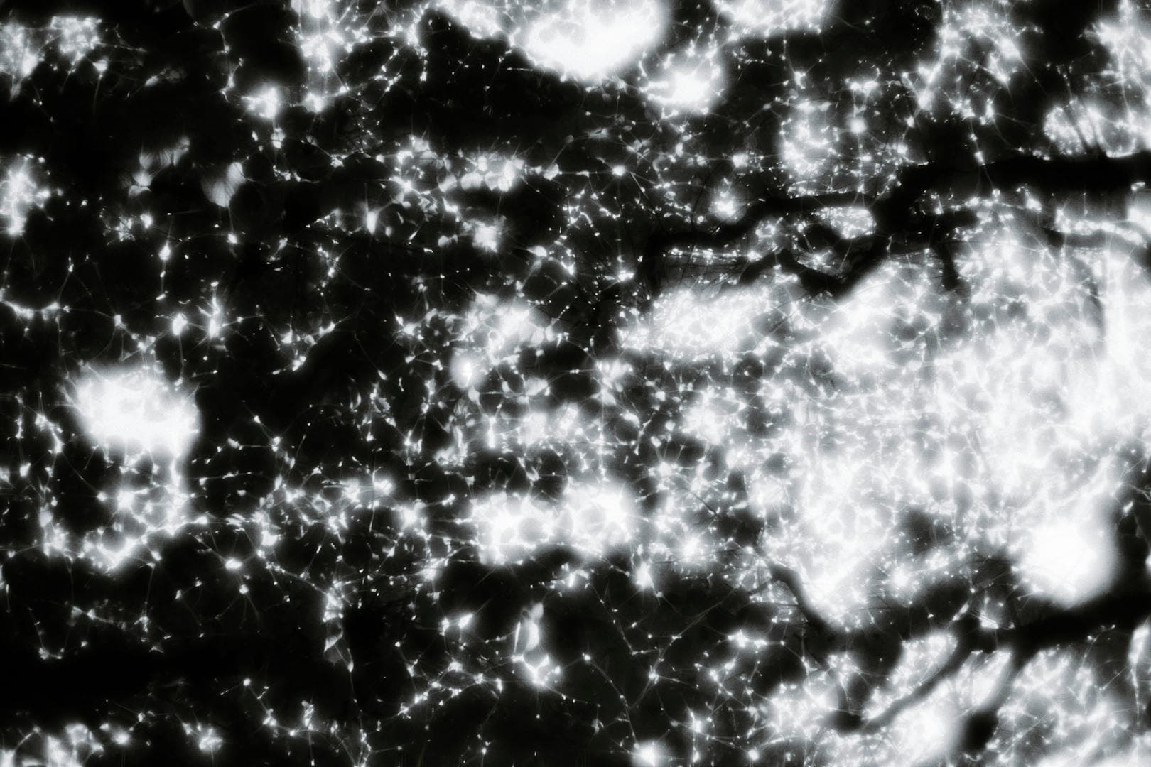 Bright illuminated lines tracing intricate connections across a deep black background — evoking the unseen web of AI integrations running quietly inside a Microsoft 365 tenant.